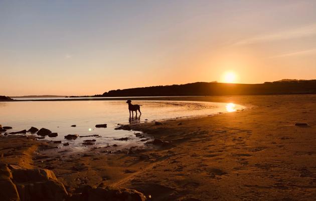 Sunset at beach by Edenville